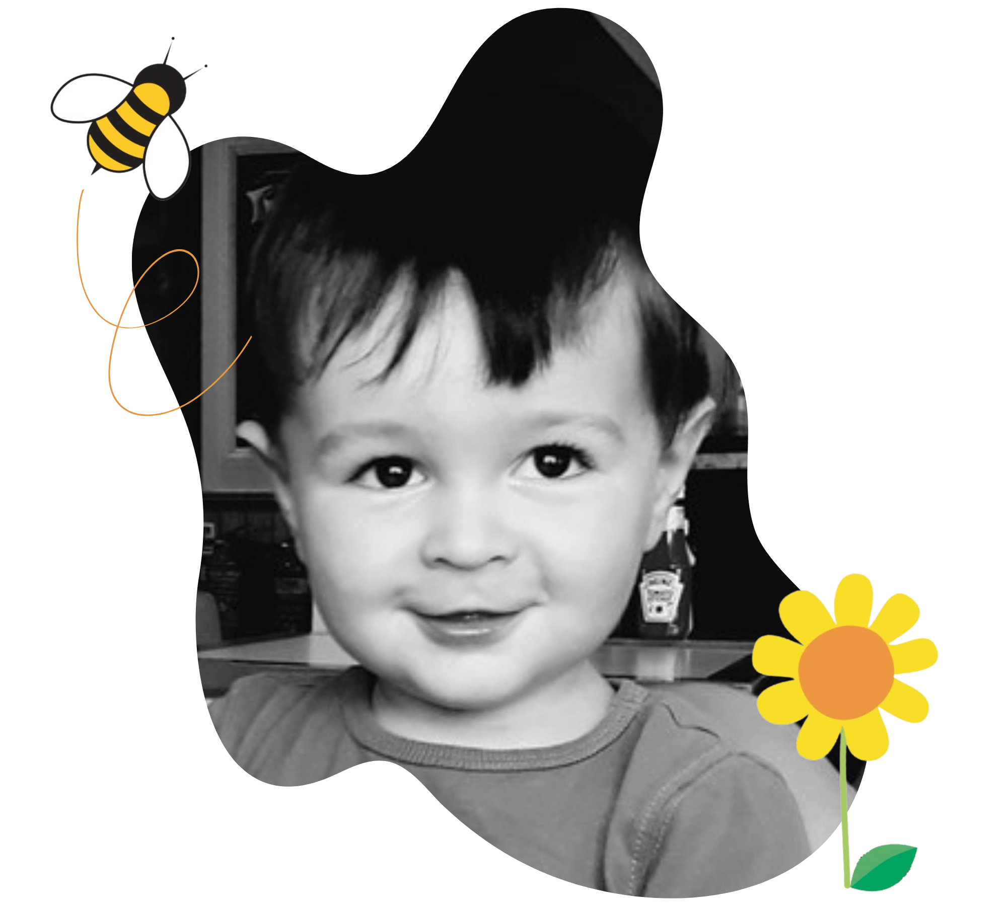 Zacs Fund